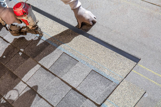 Best Metal Roofing Contractor  in Carencro, LA
