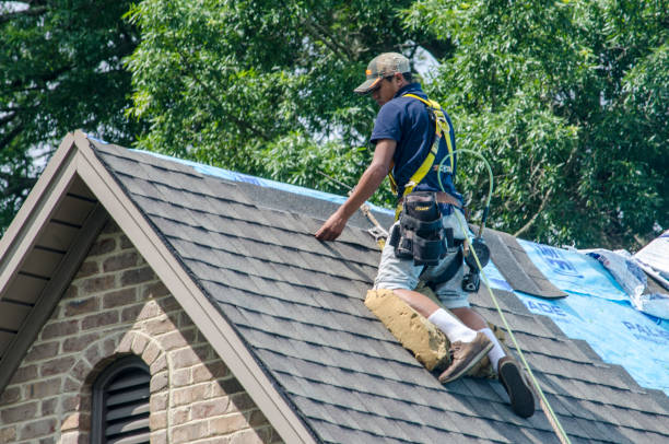 Best Roof Waterproofing Services  in Carencro, LA